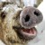 SqueakieTheFreakie :iconsqueakiethefreakie: