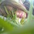 Squeakum175 :iconsqueakum175: