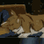 :iconsqueaky-248: