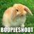 :iconsqueakyd: