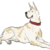 :iconSqueegieSoap: