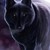 :iconsqueezablewarriorkit: