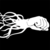 :iconsquidfistdotcom: