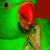 :iconSquidload: