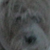 :iconsquidtrain: