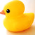 :iconsquiggle111: