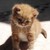:iconsquigglesinwater: