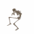 :iconsquirell:
