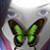 :iconsquirral: