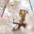 :iconsquirrel-child:
