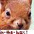 :iconsquirrel-in-the-box: