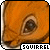 :iconsquirrel9: