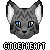 :iconsquirrelblaze: