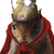 :iconsquirrelemperor: