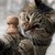 :iconsquirrelflight1449: