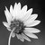:iconsquirrelscience: