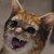 :iconsquirryzuzu: