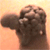 :iconsquishydo: