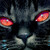 :iconsquizcat: