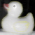 :iconsquriel: