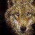 :iconsqushiy-cakesters559: