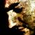 :iconsQwurm: