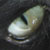 :iconsreaper78:
