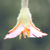 :iconsrg717: