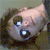 :iconsriikky: