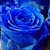 :iconss22673: