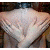:iconssaille: