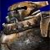 :iconssdm-v2: