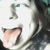 :iconsselgninaem: