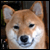 :iconssjvaporeon: