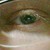 :iconssklegaia: