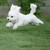 :iconssn-is-art:
