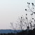 ssolaris :iconssolaris: