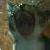 :iconsspiderweb: