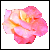:iconsssparrow: