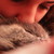 :iconssss8888: