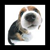 :iconssumanda41: