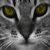 :iconst-thebeast: