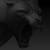 :iconstabby2486: