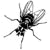 :iconstablefly: