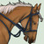 :iconstableofares: