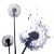 :iconstaceyshadows: