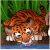:iconstaceyslineart: