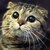 :iconstacy-raven-21: