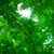 :iconstage-name16: