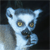 :iconstagefaerie: